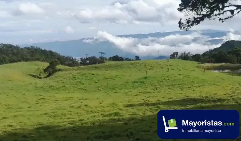 Finca ganadera de 83,2 ha en Caldas, Boyacá