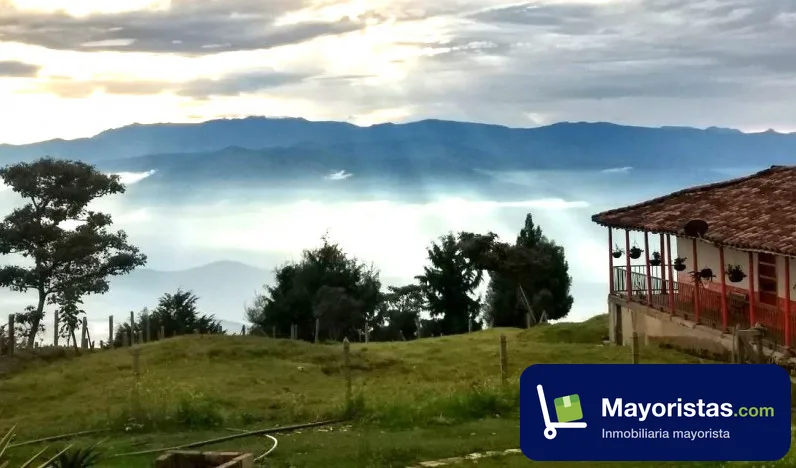 Finca ganadera de 26 ha en San Pedro de Los Milagros, Antioquia
