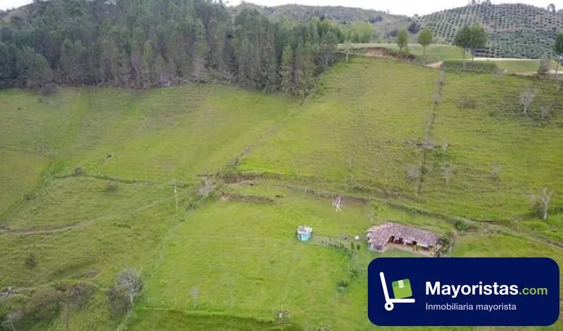 Finca ganadera de 7,7 ha en El Peñol, Antioquia