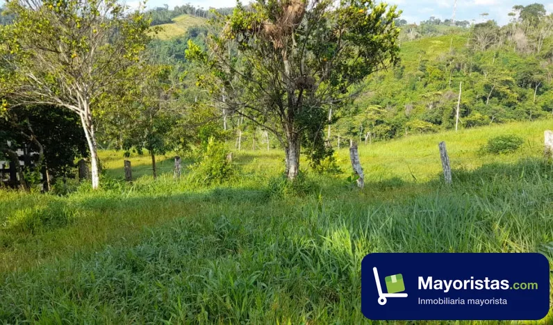 Finca ganadera de 73 ha en Tierralta, Córdoba