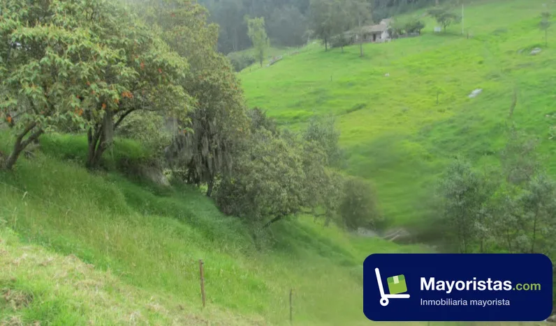 Finca ganadera de 5,8 ha en Sogamoso, Boyacá