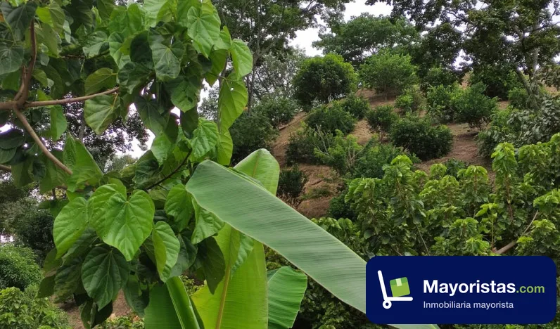 Finca agrícola de 1,4 ha en Sopetrán, Antioquia