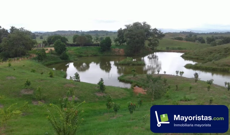 Finca ganadera de 4.200 ha en Caucasia, Antioquia