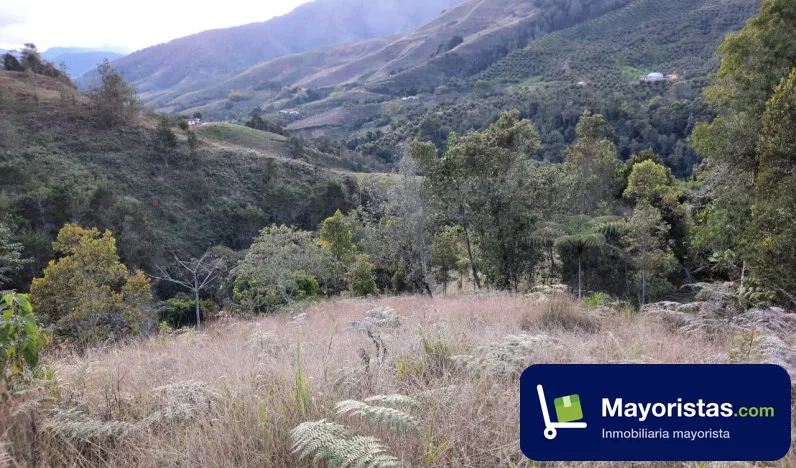 Finca ganadera de 8 ha en Urrao, Antioquia