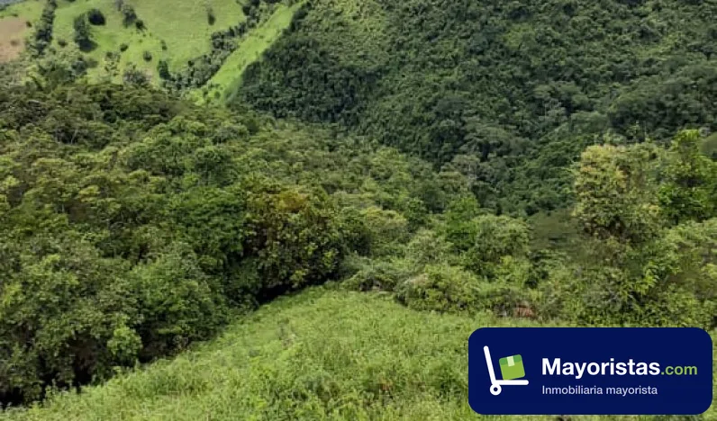Finca ganadera de 19 ha en Nimaima, Cundinamarca