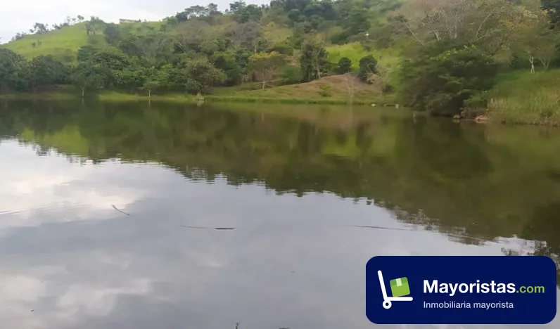 Finca ganadera de 19,2 ha en La Mesa, Cundinamarca
