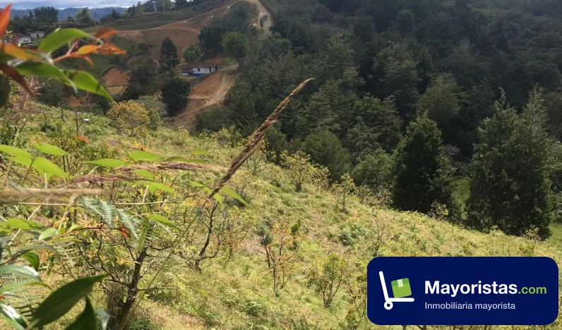 Finca ganadera de 2 ha en Rionegro, Antioquia — foto 9 de 10