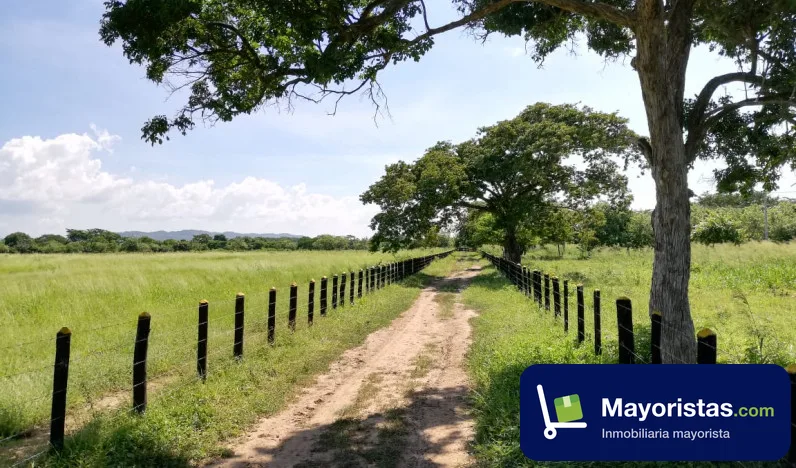 Finca ganadera de 67 ha en Piojó, Atlántico