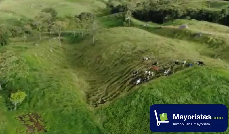 Finca ganadera de 39 ha en San Cayetano, Cundinamarca