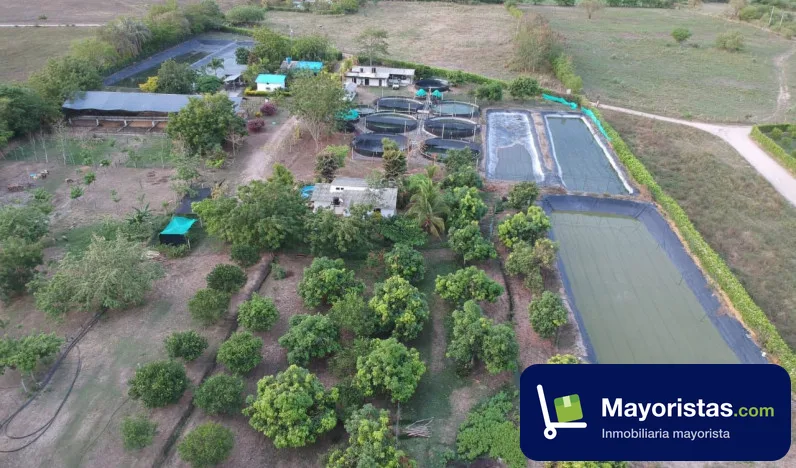 Finca ganadera de 5 ha en Espinal, Tolima