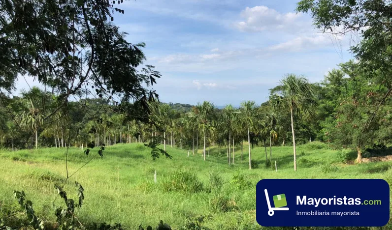 Finca ganadera de 127 ha en Piojó, Atlántico