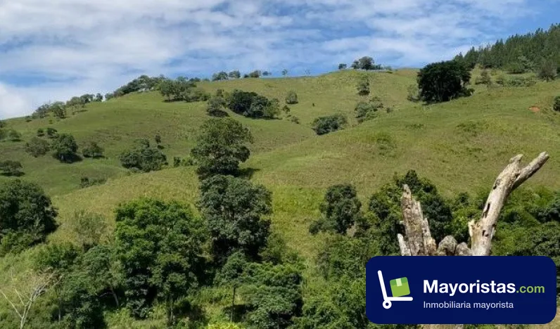 Finca ganadera de 145,3 ha en Ciudad Bolívar, Antioquia