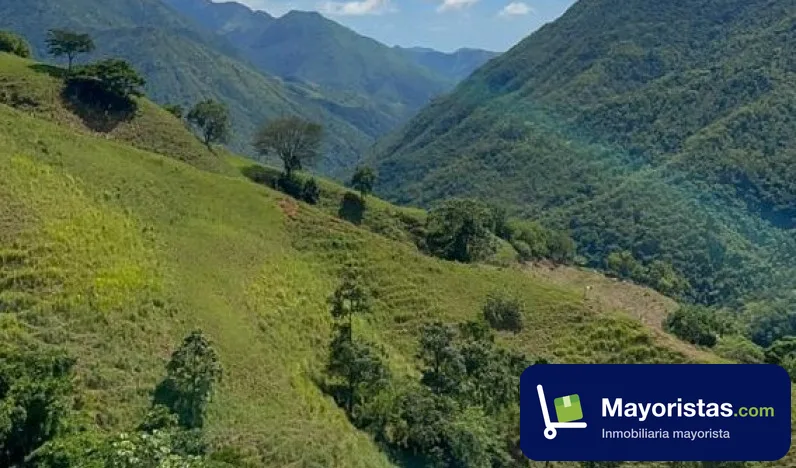 Finca ganadera de 145,3 ha en Ciudad Bolívar, Antioquia — foto 9 de 10