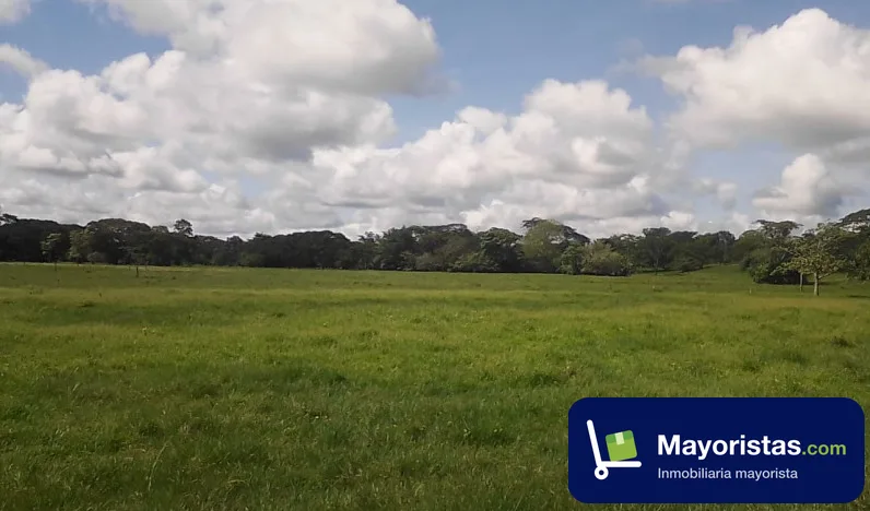 Finca ganadera de 2.400 ha en Pueblo Nuevo, Córdoba