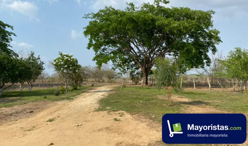 Finca ganadera de 20 ha en Cartagena de Indias, Bolívar