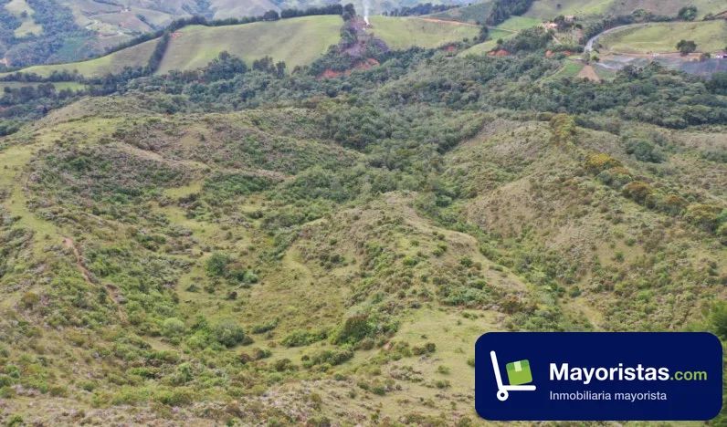 Finca agrícola de 224 ha en La Unión, Antioquia