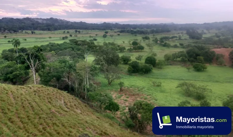 Finca ganadera de 1.688 ha en Puerto Boyacá, Boyacá