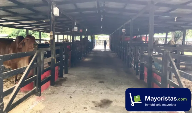 Finca ganadera de 162,6 ha en La Dorada, Caldas — foto 10 de 10