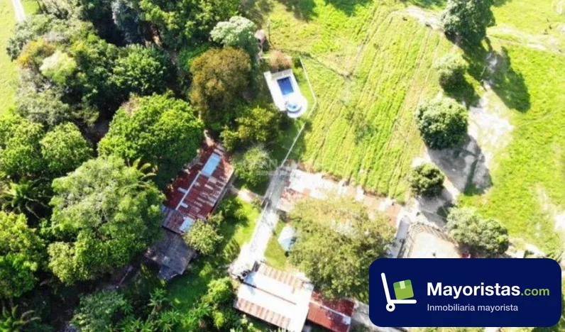 Finca ganadera de 162,6 ha en La Dorada, Caldas — foto 9 de 10