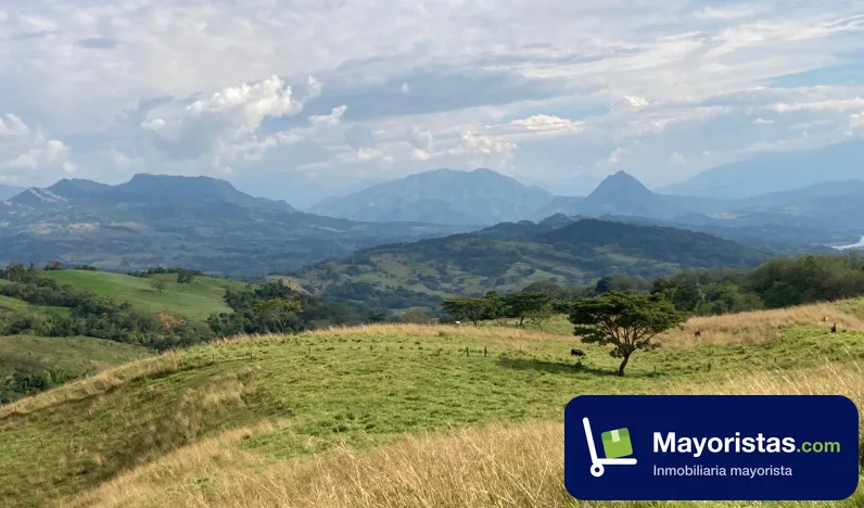 Finca ganadera de 19,2 ha en Fredonia, Antioquia