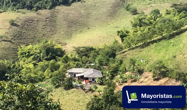Finca ganadera de 37,1 ha en La Virginia, Risaralda
