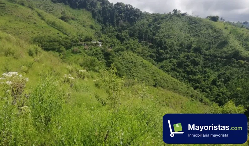 Finca ganadera de 37,1 ha en La Virginia, Risaralda — foto 10 de 10