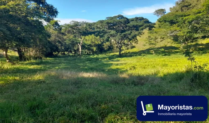 Finca ganadera de 6,4 ha en La Victoria, Valle del Cauca