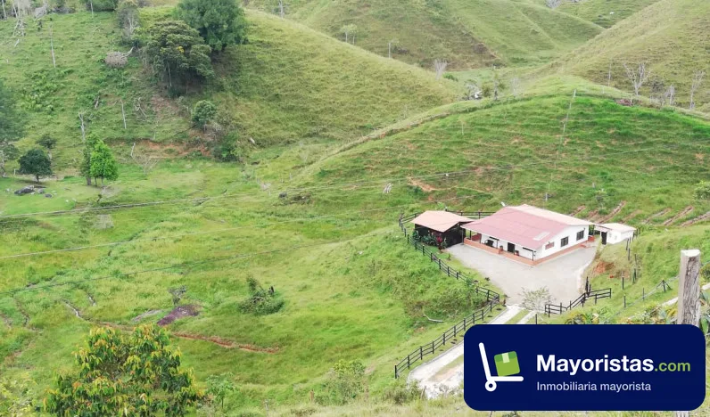 Finca ganadera de 12 ha en San Roque, Antioquia