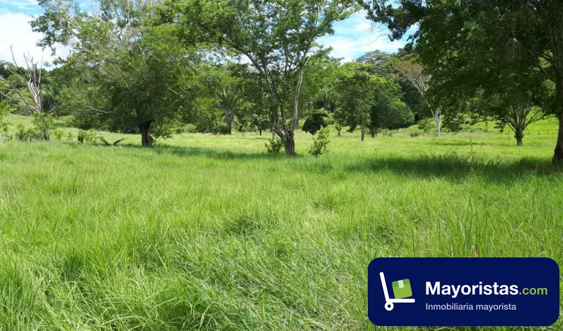 Finca ganadera de 262,4 ha en La Dorada, Caldas