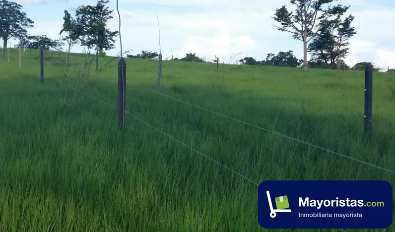 Finca ganadera de 368 ha en Ayapel, Córdoba