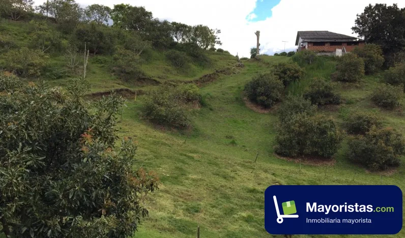 Finca agrícola de 13 ha en El Retiro, Antioquia — foto 9 de 10