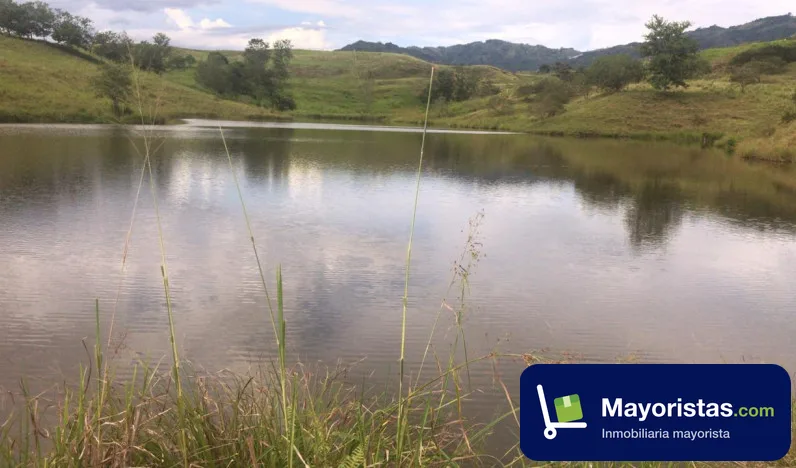 Finca ganadera de 35,2 ha en La Virginia, Risaralda