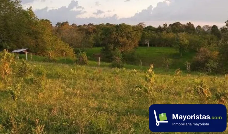 Finca ganadera de 30,1 ha en Quimbaya, Quindío