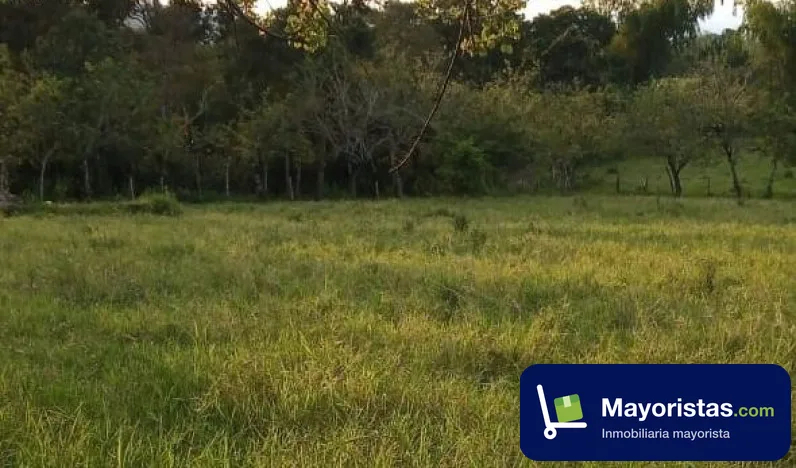 Finca ganadera de 30,1 ha en Quimbaya, Quindío — foto 9 de 9