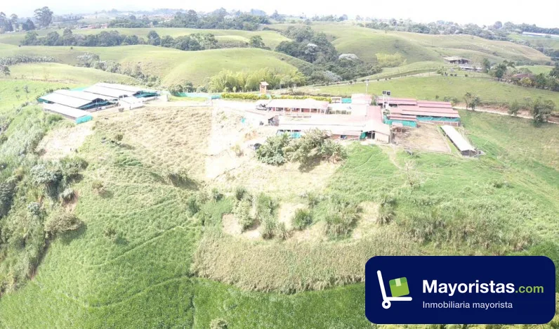 Finca agrícola de 15,4 ha en Circasia, Quindío