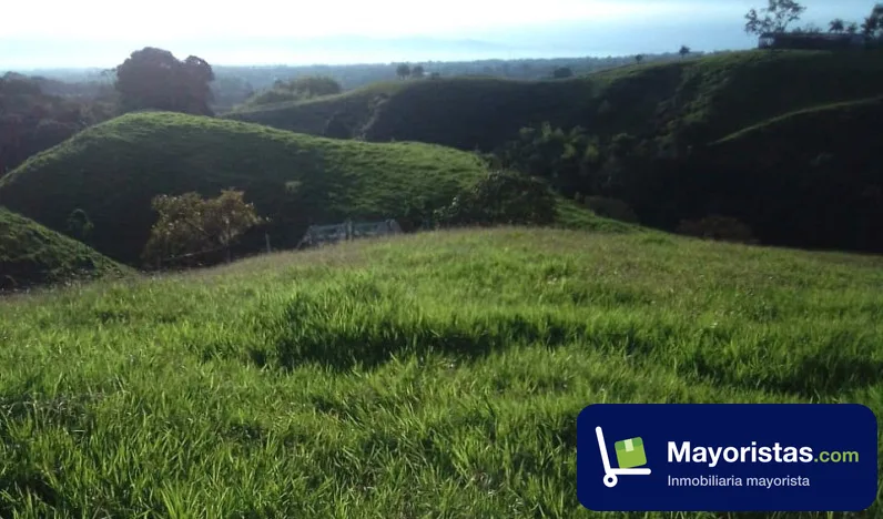 Finca ganadera de 30,1 ha en Circasia, Quindío