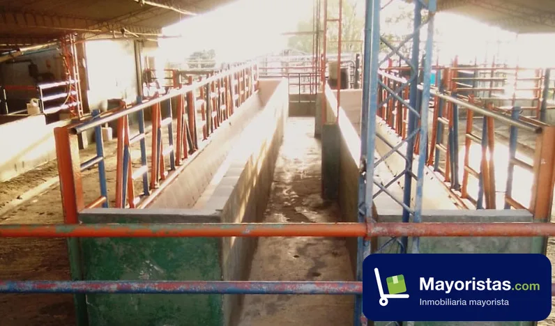 Finca ganadera de 30,1 ha en Circasia, Quindío — foto 10 de 10