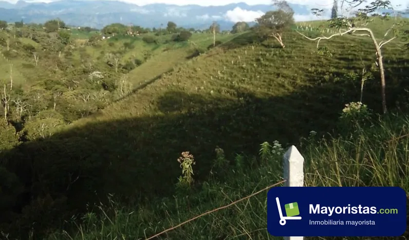 Finca ganadera de 30,1 ha en Circasia, Quindío — foto 9 de 10