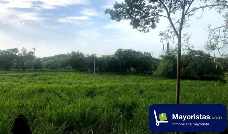 Finca ganadera de 40 ha en Sabanalarga, Antioquia