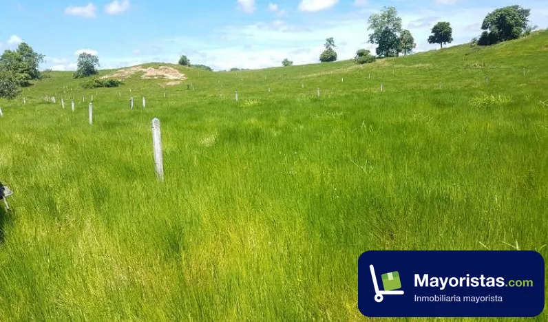 Finca ganadera de 350 ha en Sabana de Torres, Santander