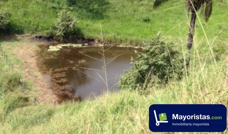 Finca ganadera de 5,8 ha en Anapoima, Cundinamarca