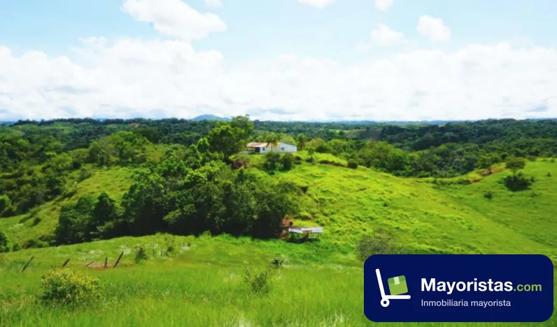 Finca ganadera de 158 ha en Norcasia, Caldas