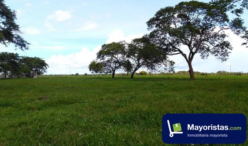 Finca ganadera de 391 ha en Villavicencio, Meta