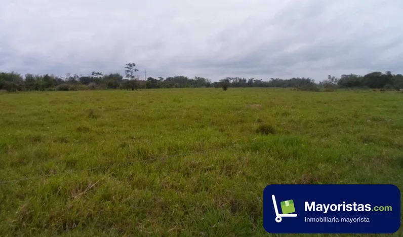 Finca ganadera de 54 ha en Villavicencio, Meta