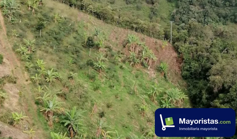 Finca agrícola de 3 ha en Piedecuesta, Santander