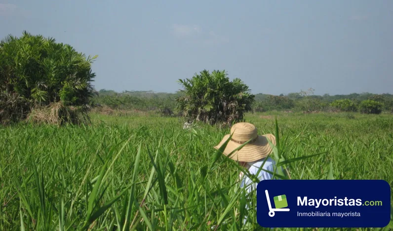 Finca ganadera de 1.705 ha en Achi, Bolívar