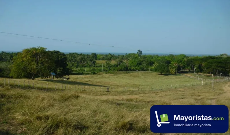 Finca ganadera de 50 ha en San Bernardo del Viento, Córdoba