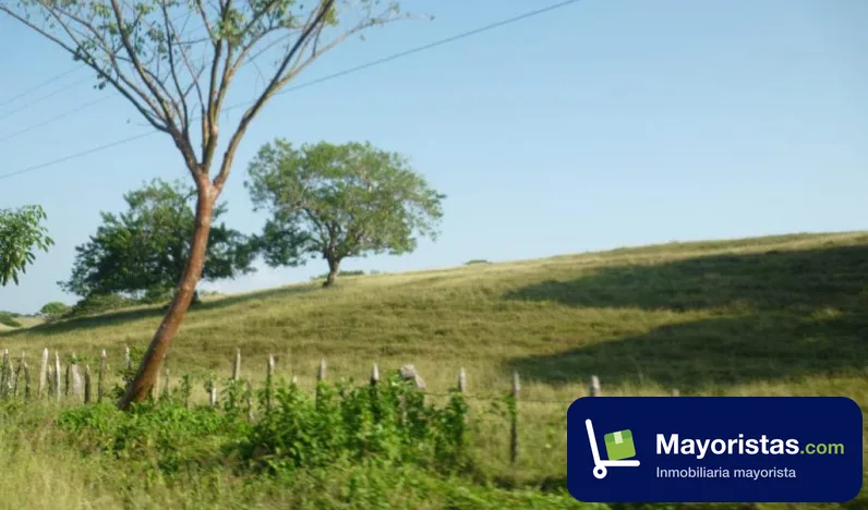 Finca ganadera de 50 ha en San Bernardo del Viento, Córdoba — foto 10 de 10