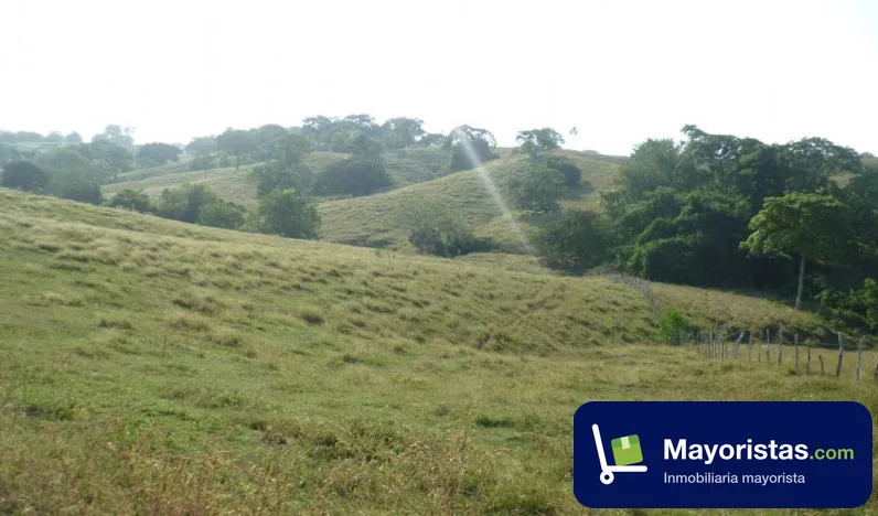 Finca ganadera de 50 ha en San Bernardo del Viento, Córdoba — foto 9 de 10