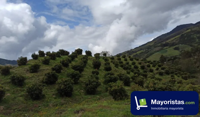Finca agrícola de 11,6 ha en Sonsón, Antioquia